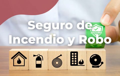 Seguro-Incendio-Robo-Tecniseguros-Estudya