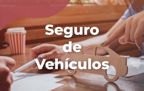 Seguro-Vehiculos-Tecniseguros-Estudya