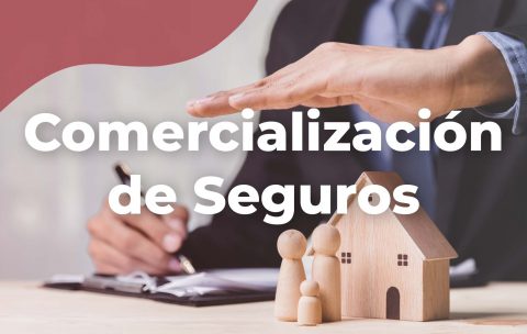 comercialización-de-seguros-tecniseguros-estudya