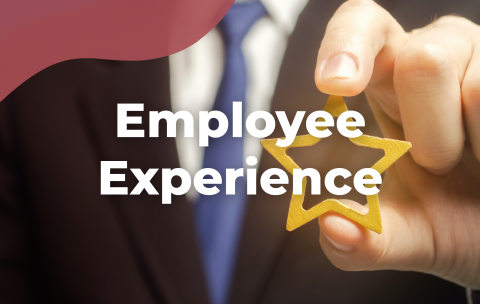 employee-experience-tecniseguros-estudya