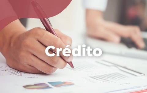 credito-tecniseguros-estudya