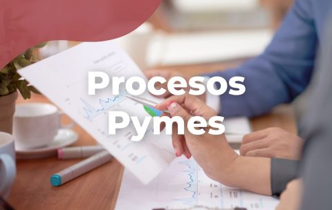 procesos-pymes-tecniseguros-estudya