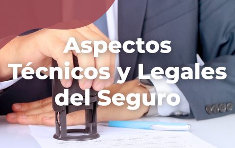 aspectos-tecnicos-y-legales-del-seguro-tecniseguros-estudya