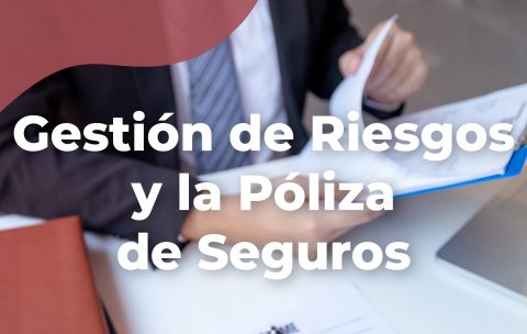 gestion-de-riesgos-y-la-poliza-de-seguros-tecniseguros-estudya