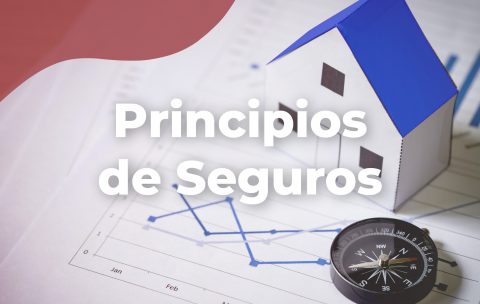 principios-del-seguro-tecniseguros-estudya