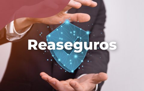 reaseguros-tecniseguros-estudya