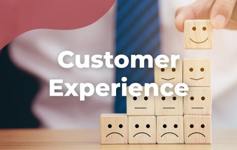 customer-experience-tecniseguros-estudya