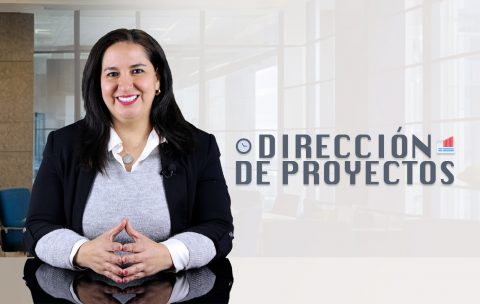 direccion-de-proyectos-tecniseguros-estudya